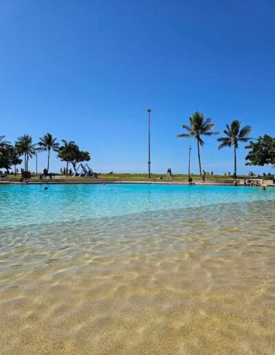 Airlie Beach Lagoon (5) Airlie Beach Lagoon Palm Trees
