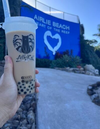 Alley Cat Japanese Fusion (1) Alley Cat Japanese Fusion bubble tea