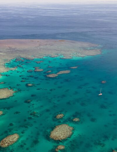 Bait Reef Whitsundays (2) Overlooking Bait Reef Whitsundays