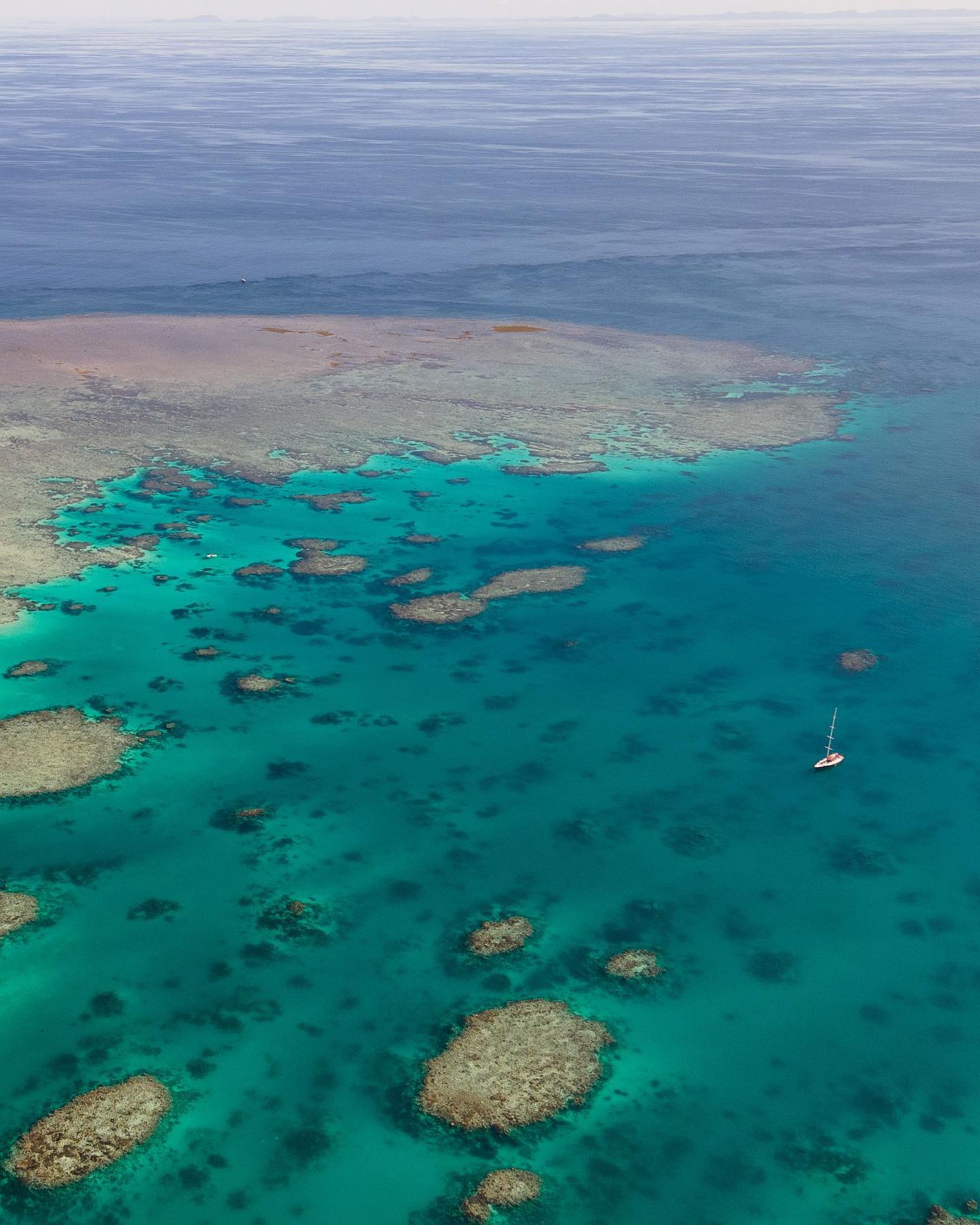 Tiparoo Reef Bait Reef | Airlie Beach & Whitsundays Guide | Visit Airlie Beach