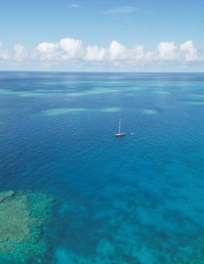 Bait Reef Whitsundays (3) Great Barrier Reef Whitsundays (3)