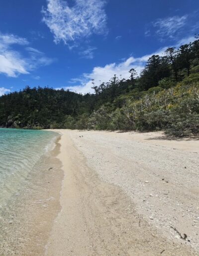 Border Island Whitsundays (2) Border Island Whitsundays beach