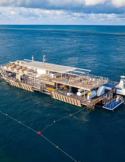 Hardy Reef Whitsundays (1) Hardy Reef Whitsundays reefworld