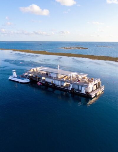 Hardy Reef Whitsundays (2) Hardy Reef Whitsundays cruise whitsundays