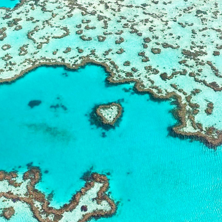 Heart Reef Whitsundays part of the Great Barrier reef