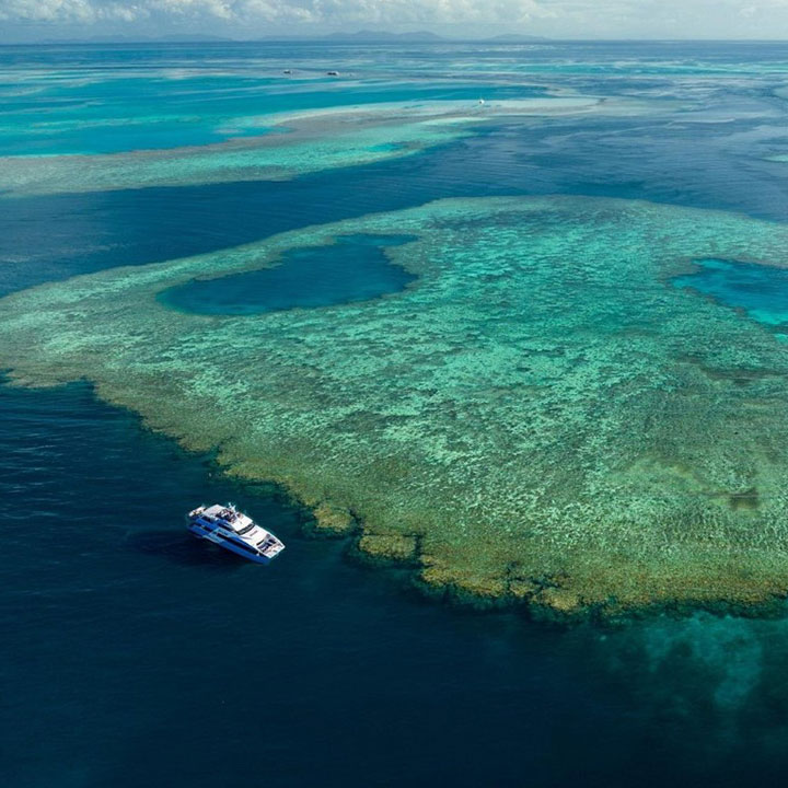 Red Cat Adventures Outer Reef Tour