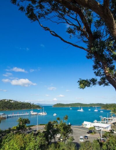 Shute Harbour Marina ( (1) Shute Harbour Marina from above