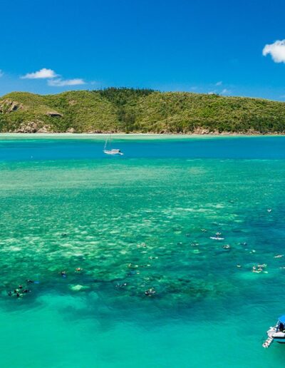 Whitsunday Island (2) Whitsunday Island snorkelling