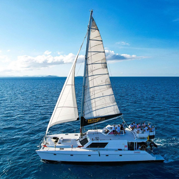 Wings Sail And Snorkel