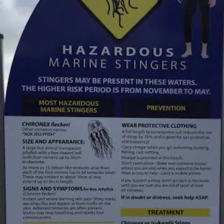 Stinger Season In Airlie Beach